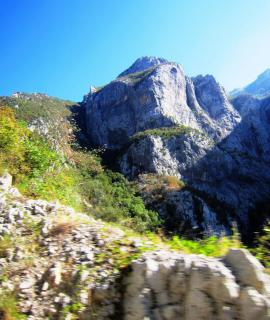 IMG_2558.JPG