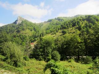 IMG_2612.JPG