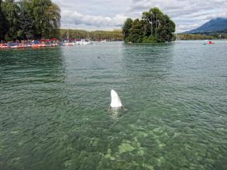 IMG_9194.JPG