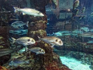 IMG_8483.JPG