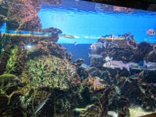 IMG_8436.JPG