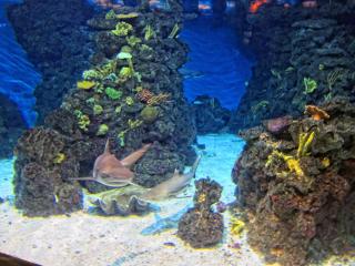 IMG_8451.JPG