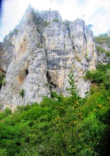 IMG_2694a.JPG