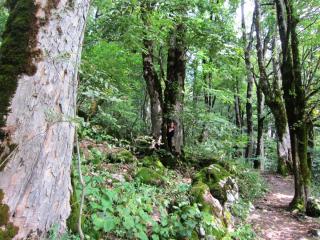 IMG_2639.JPG