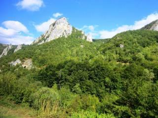 IMG_2665.JPG