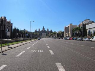 IMG_8393.JPG