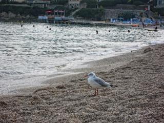 IMG_0519.JPG