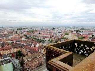IMG_7016.JPG