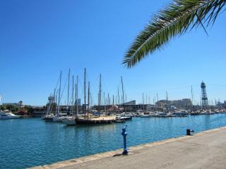 IMG_8434.JPG