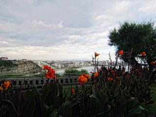 IMG_7943.JPG