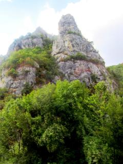 IMG_2702.JPG