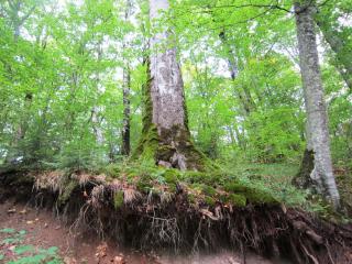 IMG_2625.JPG