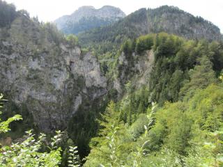 IMG_2444.JPG