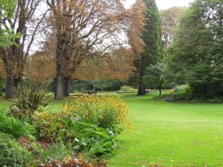 DSCN6893.jpg