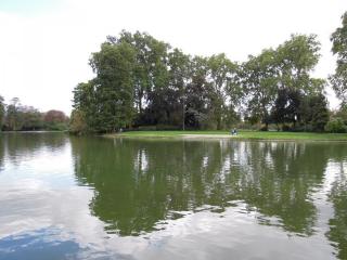 DSCN7374.jpg