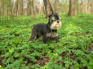 DSCN5448.JPG