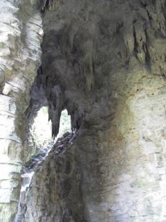 DSCN7737.jpg