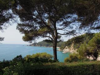 DSCN3930.JPG