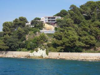 DSCN5238.JPG