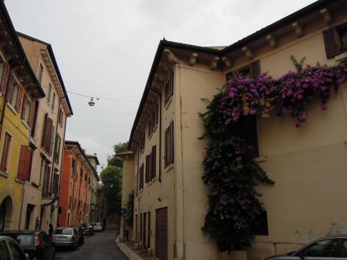 DSCN7370.JPG