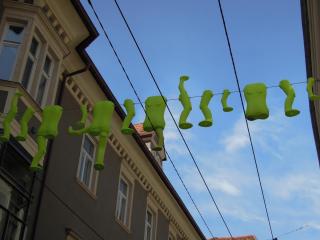 DSCN1126.JPG