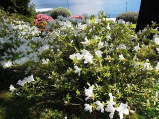 DSCN3990.JPG