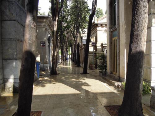 DSCN5431.JPG