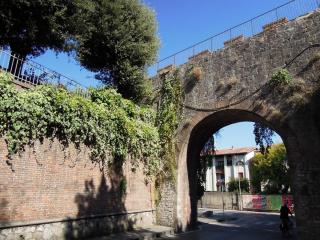 DSCN9252.JPG