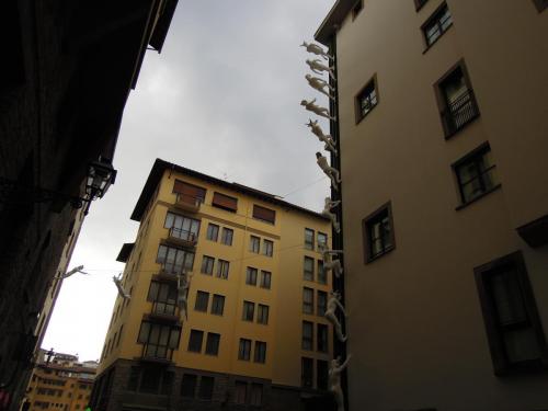 DSCN7106.JPG
