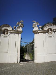 DSCN0847.JPG