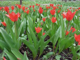 DSCN8241.JPG