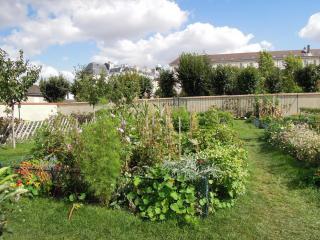 DSCN7235.jpg