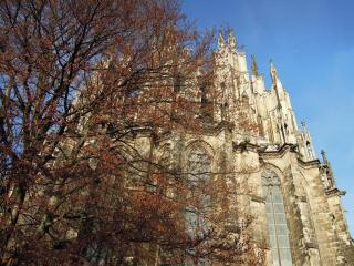 DSCN5673.jpg
