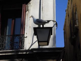 DSCN2235.JPG