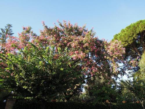 DSCN6190.JPG
