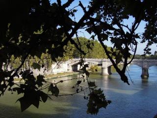DSCN0722.JPG