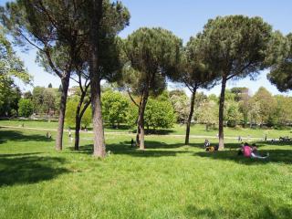DSCN3487.JPG