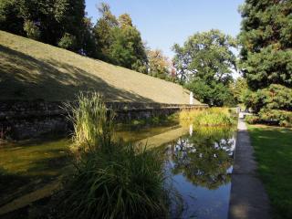 DSCN1241.JPG