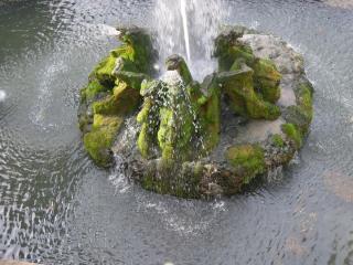 DSCN0046.JPG