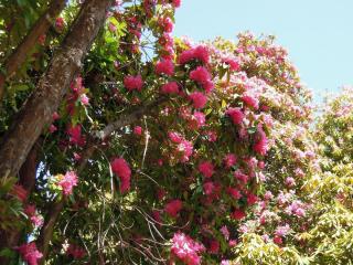 DSCN4024.JPG