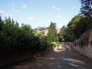 DSCN0566.JPG