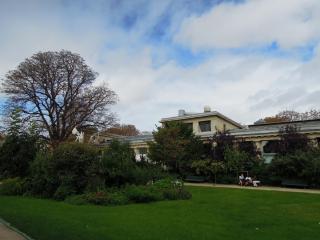 DSCN6528.jpg