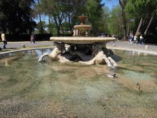 DSCN3482.JPG
