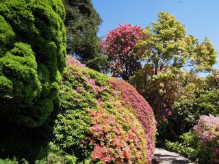 DSCN4022.JPG