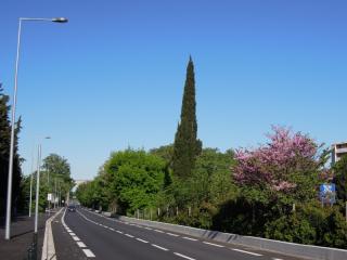 DSCN5922 (800x600).jpg