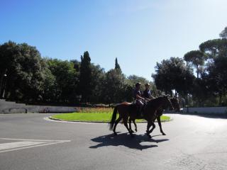 DSCN0826.JPG
