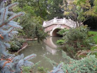 DSCN6661.jpg