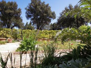 DSCN3476.JPG