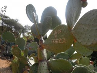 DSCN3822.JPG