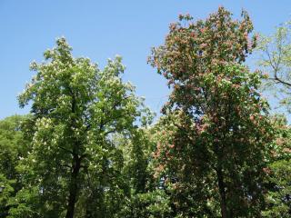 DSCN3486.JPG